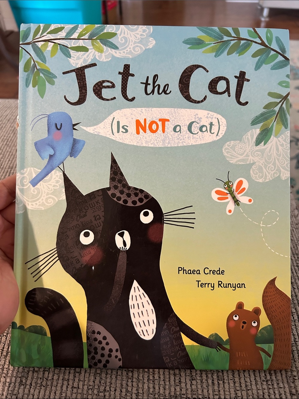 Jet the Cat (is not a cat) hardcover book by Phaea Crede and Terry Runyan
